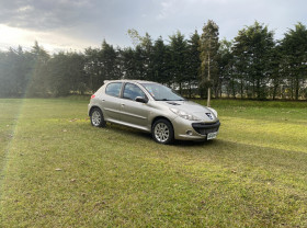 Peugeot 207 XS 1.6 Flex 16V 5p 2009