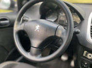 Peugeot 207 XS 1.6 Flex 16V 5p 2009